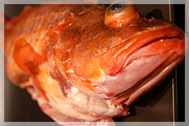 辰辰のこだわり