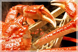 辰辰のこだわり